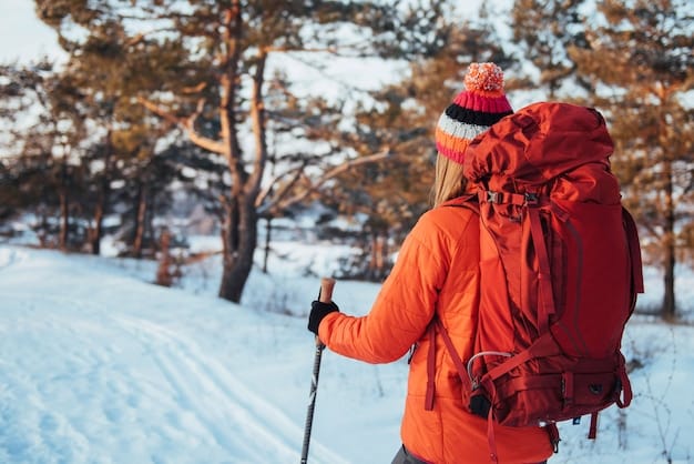 Zimowe wędrówki z psami: Jak przygotować się do bezpiecznego trekkingu?